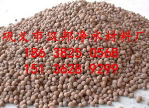 生物页岩陶粒滤料 高效污水处理中的绿色净水材料